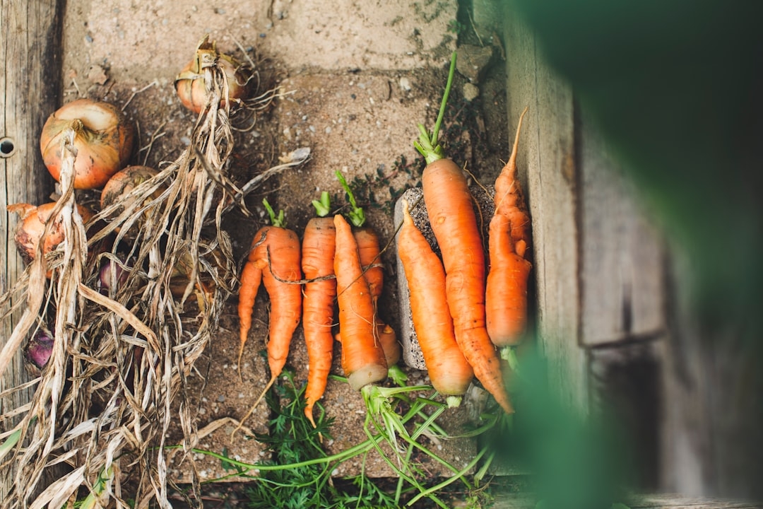 a bunch of carrots that are laying on the ground