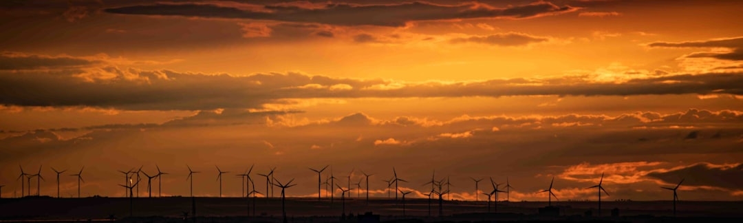 the sun is setting over a field of windmills