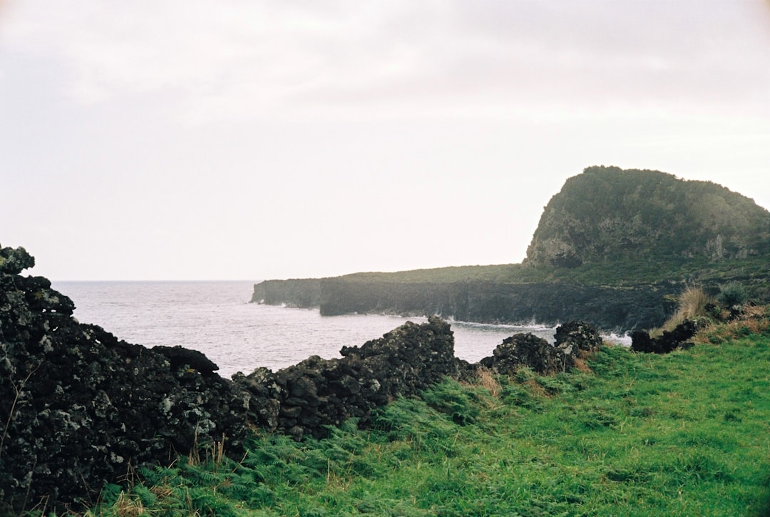 a grassy field next to a body of water