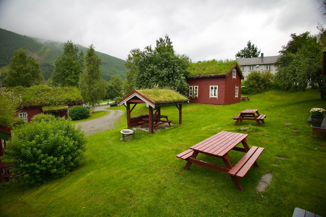 a grassy area with picnic tables and benches