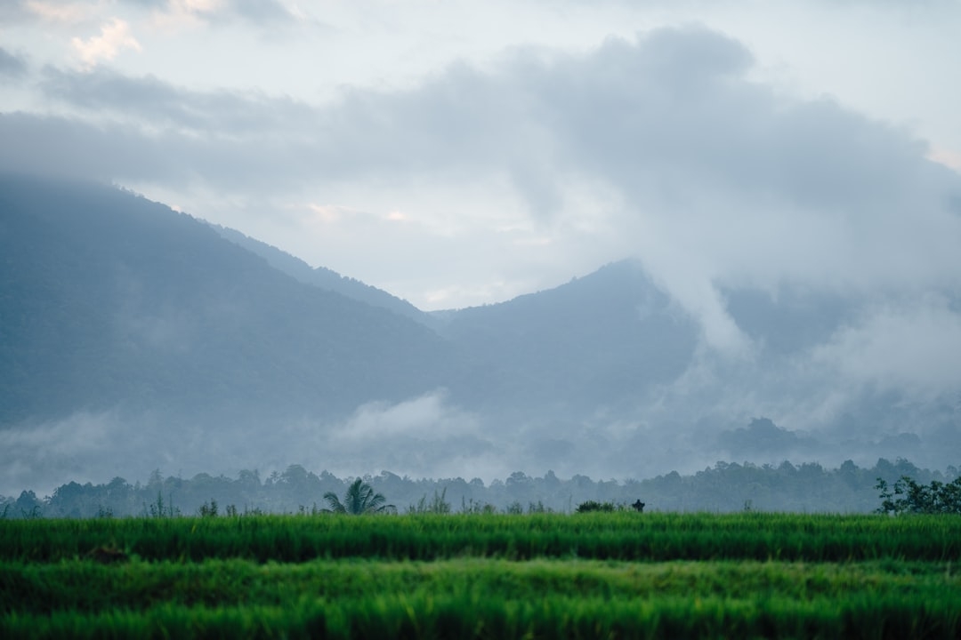 a grassy field with mountains in the background