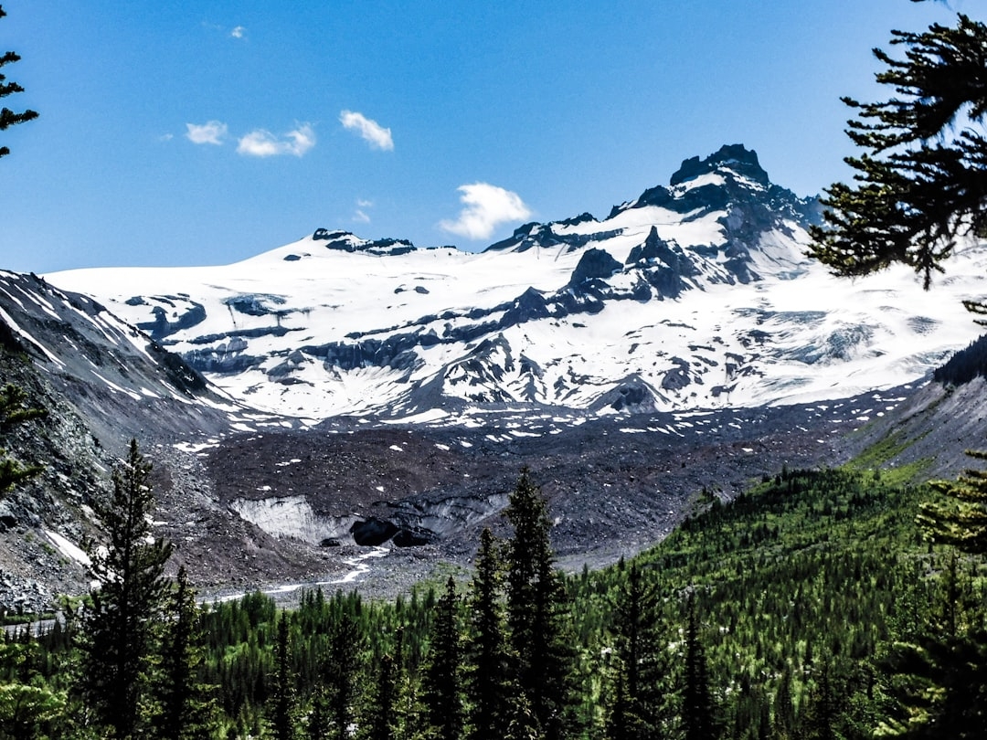 a snow-covered mountain surrounded by pine trees