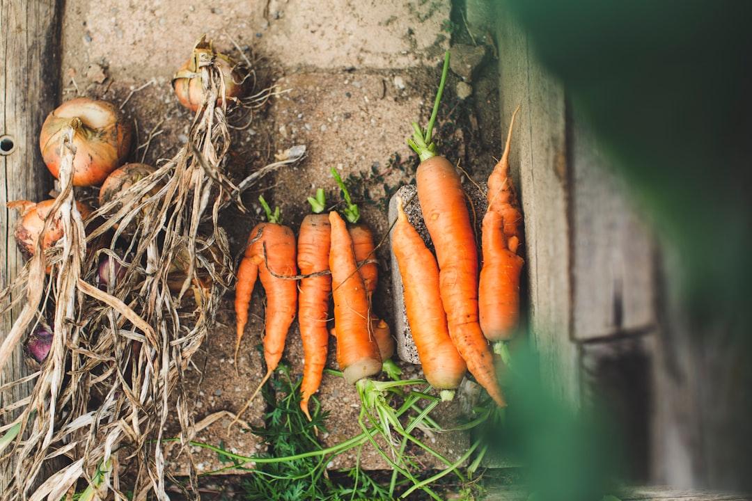 a bunch of carrots that are laying on the ground