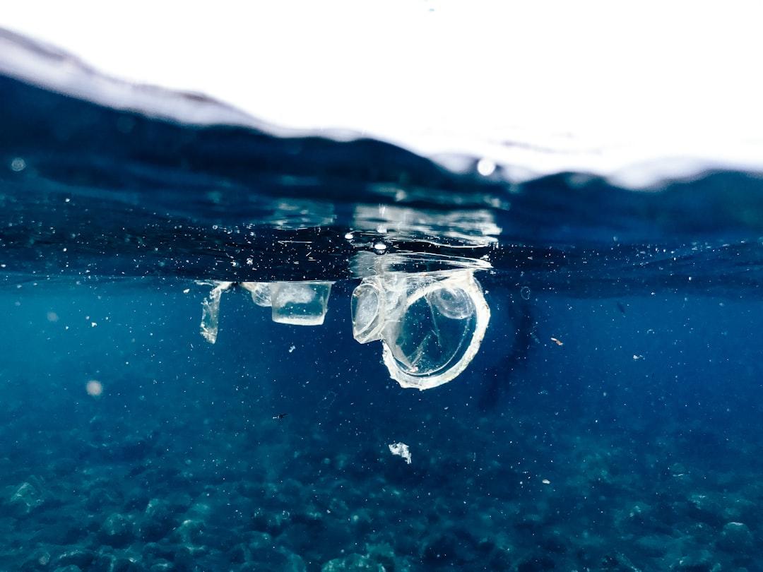 A bottle floating on top of a body of water